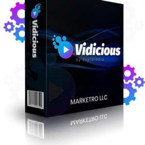Vidicious